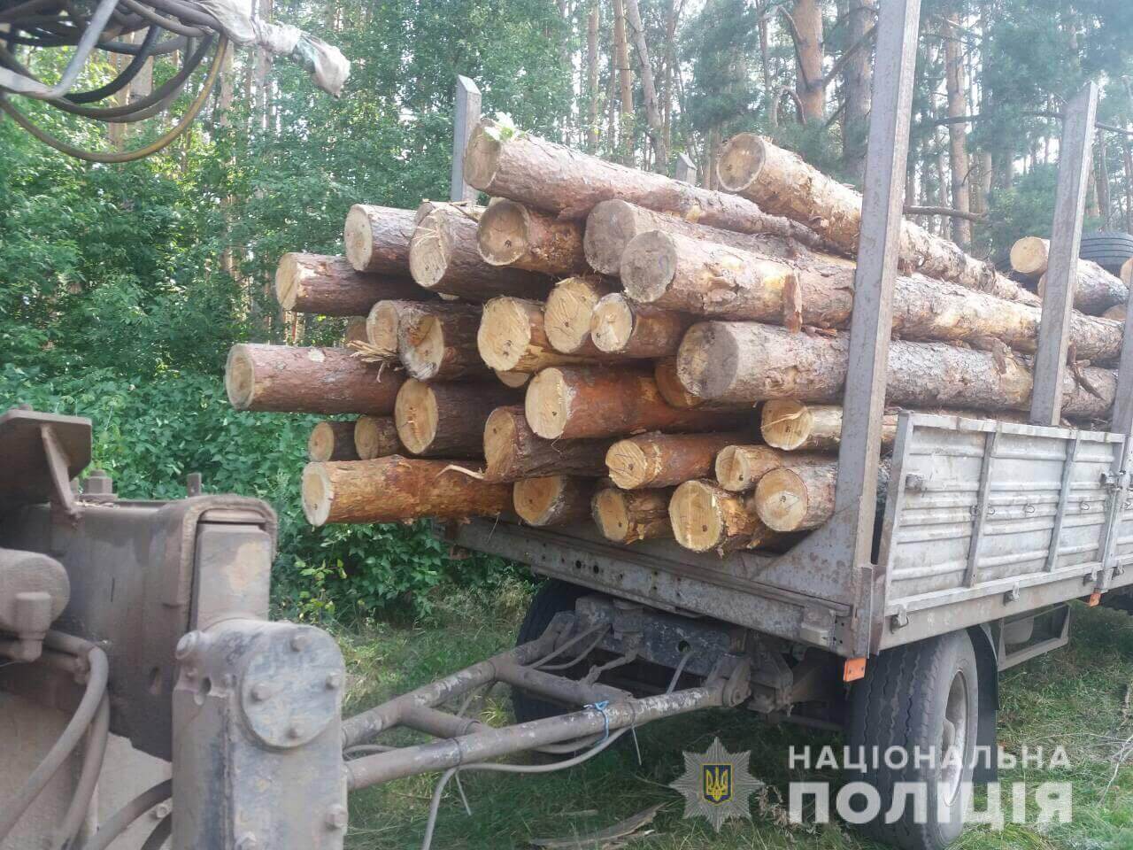 155 бревен сосны: на Харьковщине правоохранители задержали «черных лесорубов»