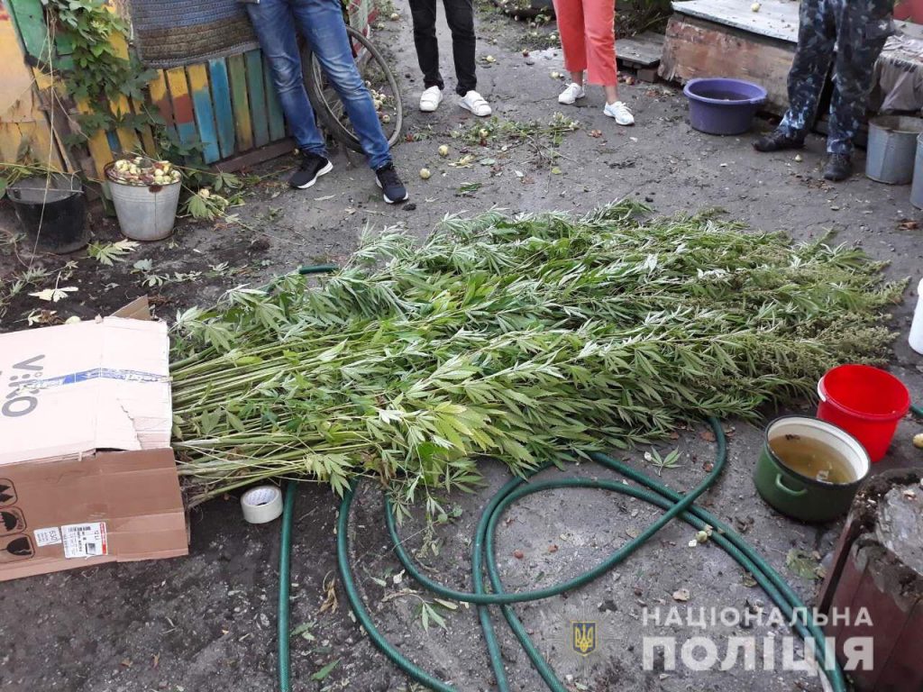 В Харькове обнаружили очередного «наркотического агронома»