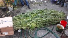 В Харькове обнаружили очередного «наркотического агронома»