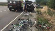 В Николаевской области автомобиль сбил группу детей-велосипедистов (фото, видео)