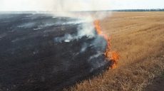 На Харьковщине загорелось фермерское поле