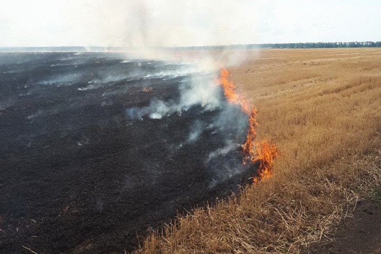 На Харьковщине загорелось фермерское поле