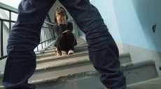Харківська правозахисна група виступила проти ухвалення закону про примусову хімкастрацію педофілів (відео)