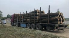 На Харьковщине блокируют инициативы Зеленского по борьбе с незаконным оборотом древесины