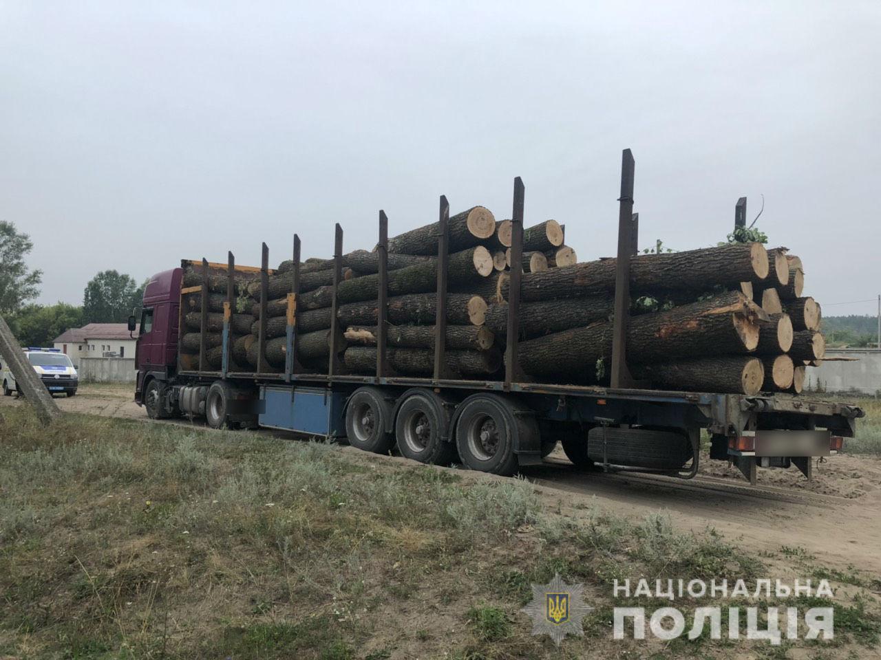 На Харьковщине блокируют инициативы Зеленского по борьбе с незаконным оборотом древесины