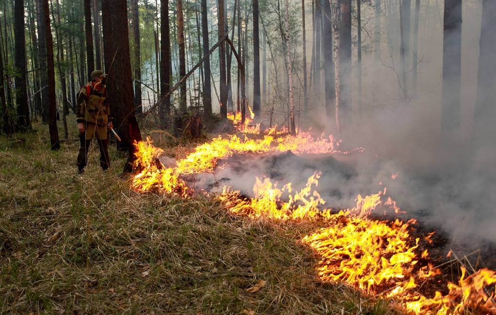 Лесные пожары в Сибири: дым достиг Казахстана (видео)