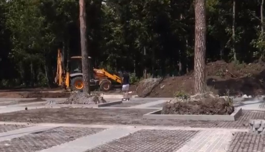 Харківські екологи стурбовані: у парку Горького вирубали 25 дерев (відео)