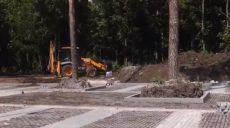 Харківські екологи стурбовані: у парку Горького вирубали 25 дерев (відео)