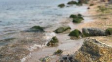 В Бердянске утонул харьковчанин