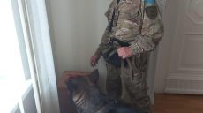 Полицейские проверили информацию о заминировании госучреждения и двух вузов