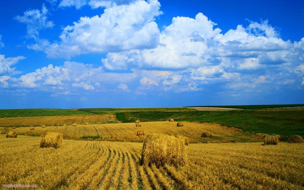 Минагрополитика: Украина занимает 20 место в мире по площади с/х угодий органического производства