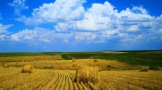 Минагрополитика: Украина занимает 20 место в мире по площади с/х угодий органического производства