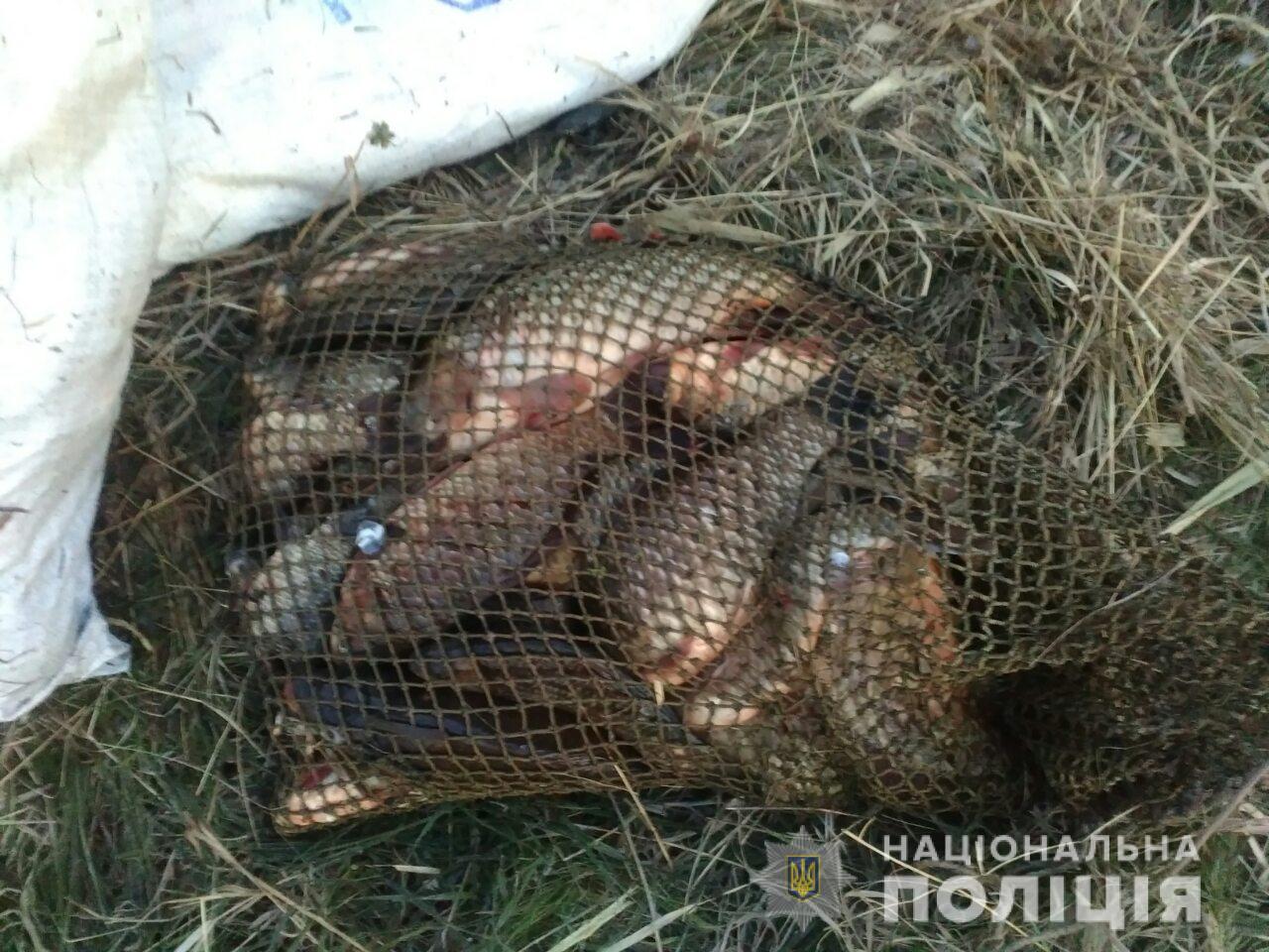 Рыбалка: на Харьковщине стало больше браконьеров