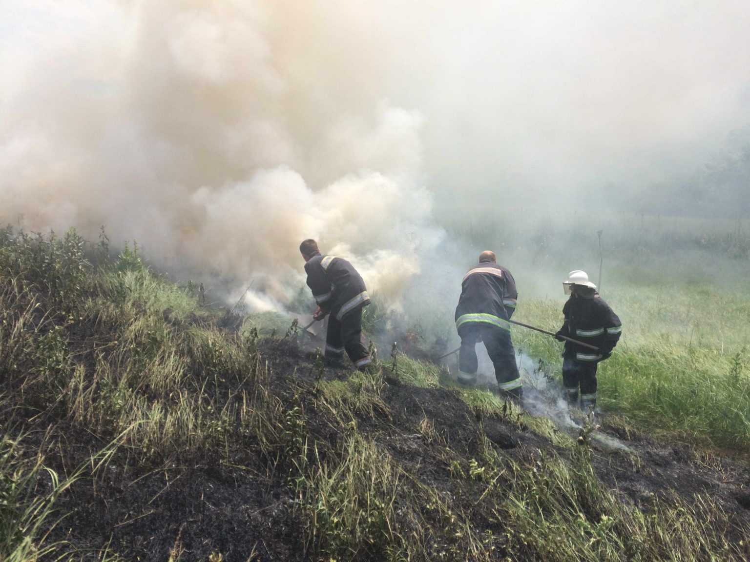 За сутки в области произошло 11 пожаров в экосистемах
