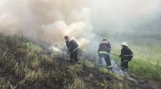 За сутки в области произошло 11 пожаров в экосистемах