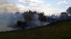 За сутки в области произошло 20 пожаров в экосистемах