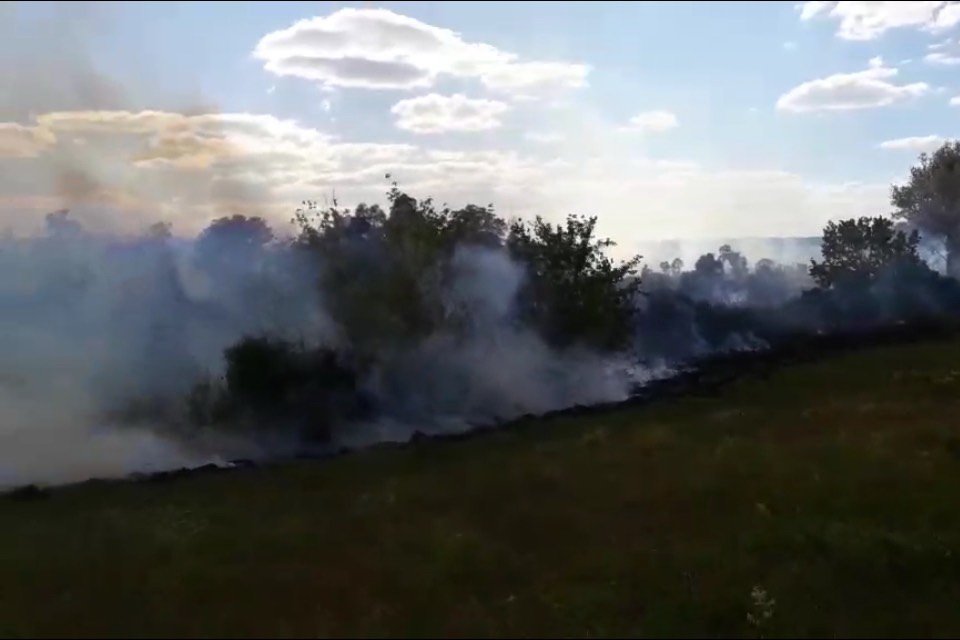 За сутки в области произошло 20 пожаров в экосистемах
