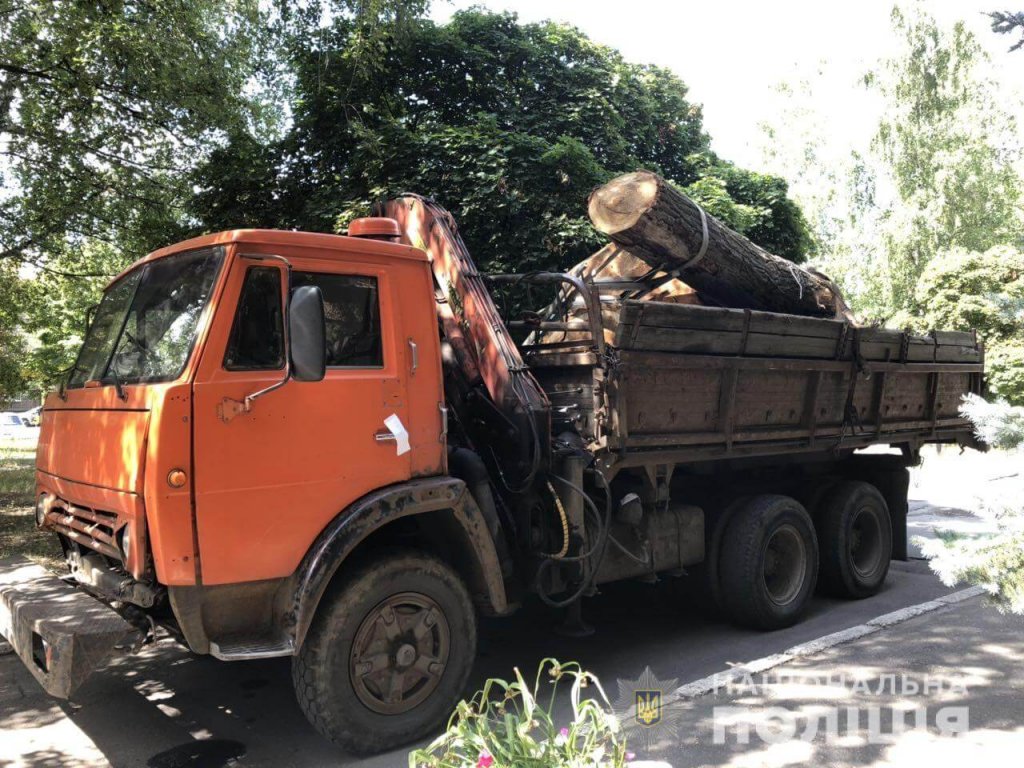 Незаконная перевозка древесины: полицейские выявили автомобиль с древесиной без документов
