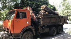 Незаконная перевозка древесины: полицейские выявили автомобиль с древесиной без документов
