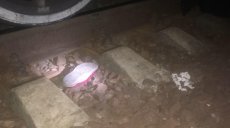 В Харьковской области поезд сбил женщину