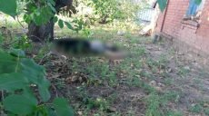 На Харьковщине 15-летняя девушка покончила жизнь самоубийством из-за расставания с парнем