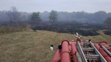 Спасатели предотвратили пожар возле лесничества (фото)