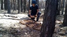 На Харьковщине пиротехники разминировали более 350 единиц взрывоопасных предметов