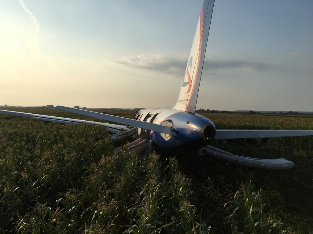 Российский самолет совершил аварийную посадку: количество пострадавших возросло (видео)