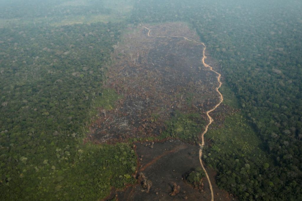 Члены G7 готовы помочь в тушении масштабных пожаров в Амазонии