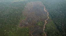 Члены G7 готовы помочь в тушении масштабных пожаров в Амазонии