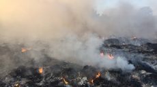 За сутки в области произошло 50 пожаров в экосистемах