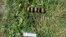 В Харьковской области на берегу пруда нашли боеприпасы