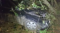 ДТП на Харьковщине: один человек погиб