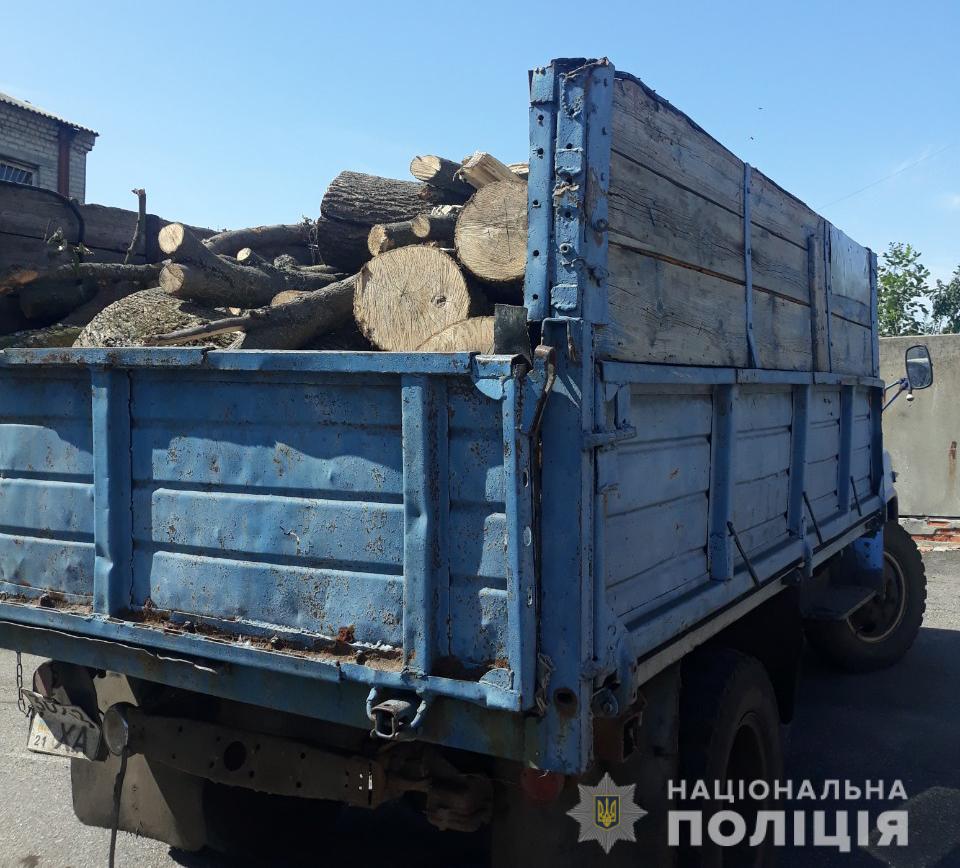 На Харьковщине снова незаконно рубили деревья