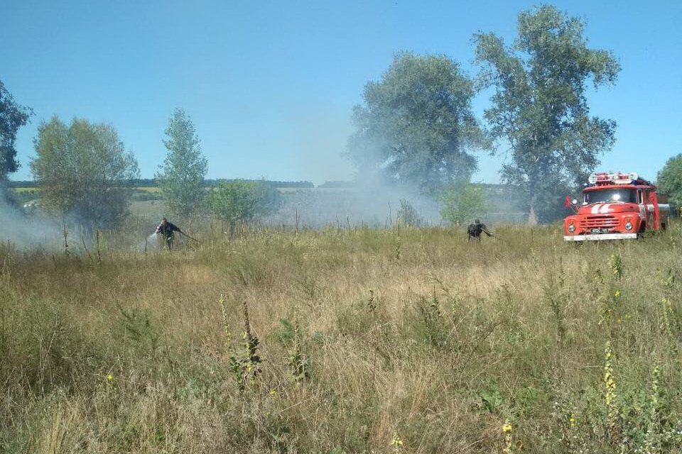 На Харьковщине произошло 35 случаев пожаров в природных экосистемах за сутки