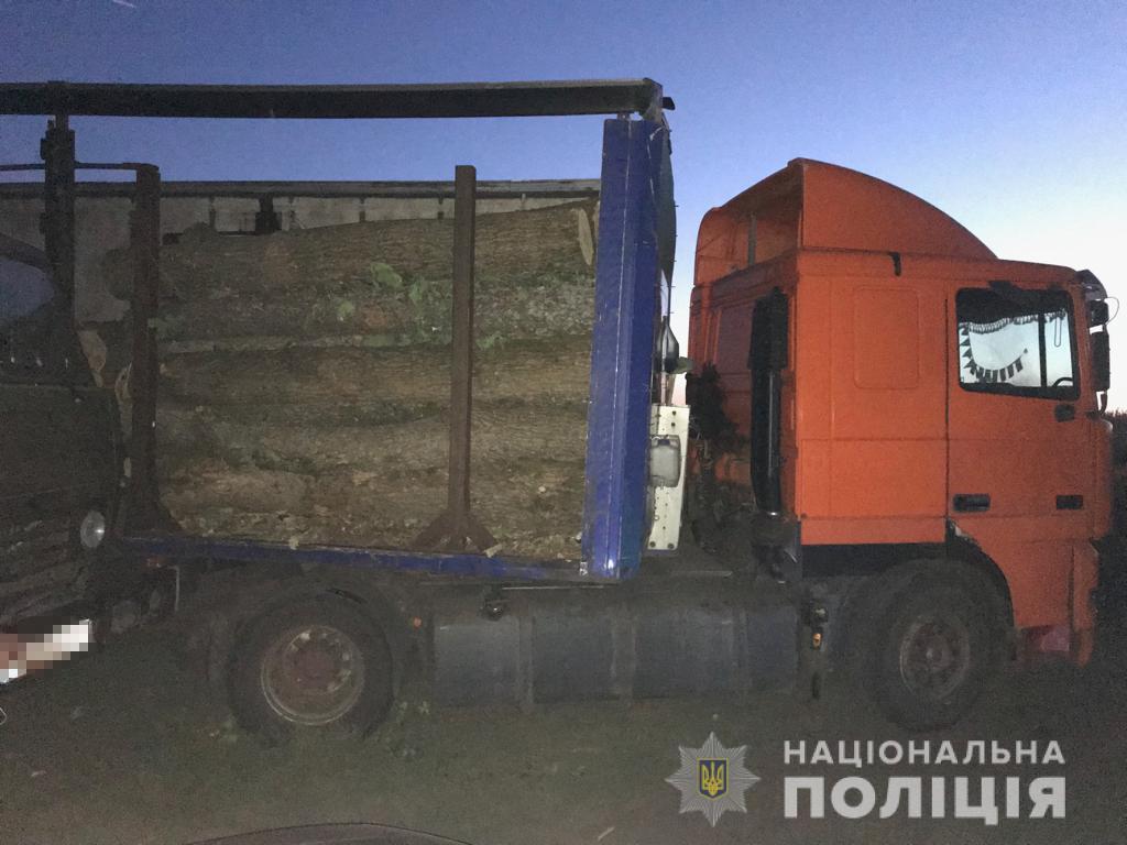 В Харьковской области снова незаконно рубили деревья (фото)