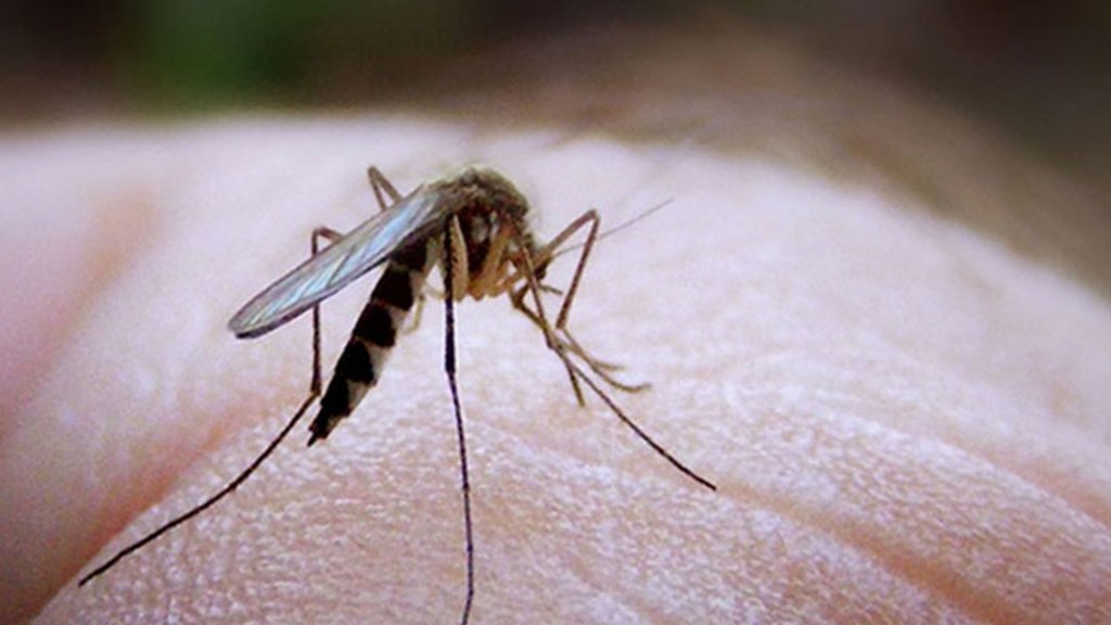 На Филиппинах объявили эпидемию денге