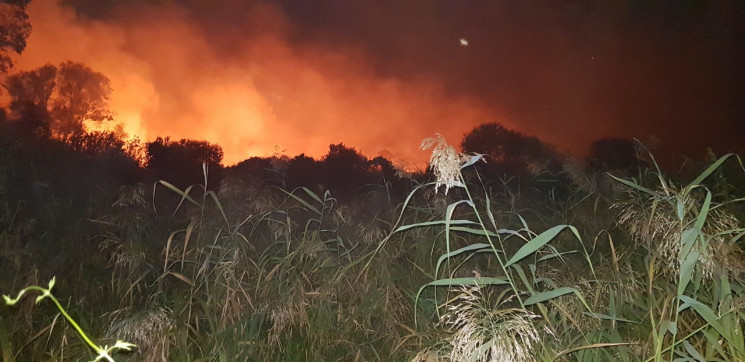 За прошедшие сутки на Харьковщине выгорело два гектара сухой травы