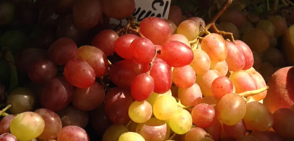 Від головного болю, для підвищення імунітету та здоров’я шкіри: чим корисний виноград (відео)