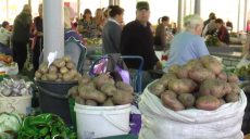 Ціни на картоплю, які протягом серпня били рекорди, почали знижуватись (відео)
