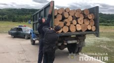 На Харьковщине продолжают выявлять факты незаконной вырубки древесины (фото)