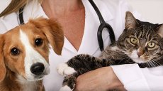 В Україні відзначили День працівників ветеринарної медицини