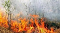 За сутки в области произошло 25 пожаров в экосистемах