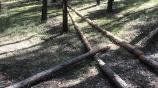 Незаконная вырубка леса на Харьковщине: в Боровском районе полицейские установили еще один случай (фото)
