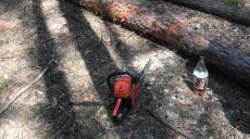Справу щодо порубки дерев у Близнюківському районі скерували до суду