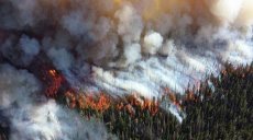 В России назвали основную причину пожаров в Сибири