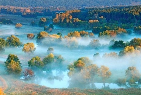 Харьковчан приглашают на фотовыставку «Созерцание»