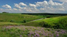 В Харькове состоится художественный конкурс, посвященный Зинаиде Серебряковой