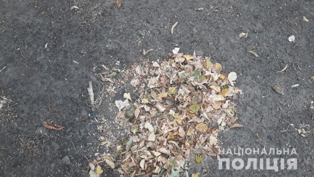 В Харькове в листьях нашли гранату (фото)