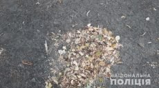 В Харькове в листьях нашли гранату (фото)